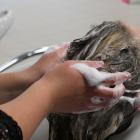 shampoing